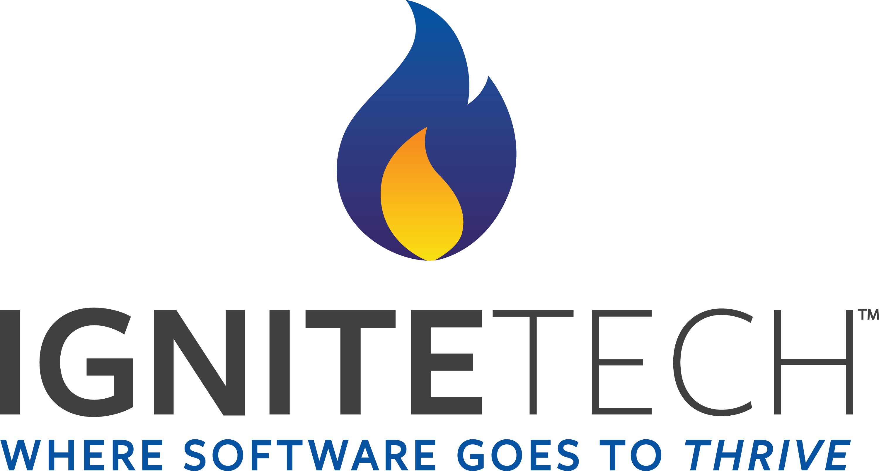 IgniteTech Logo